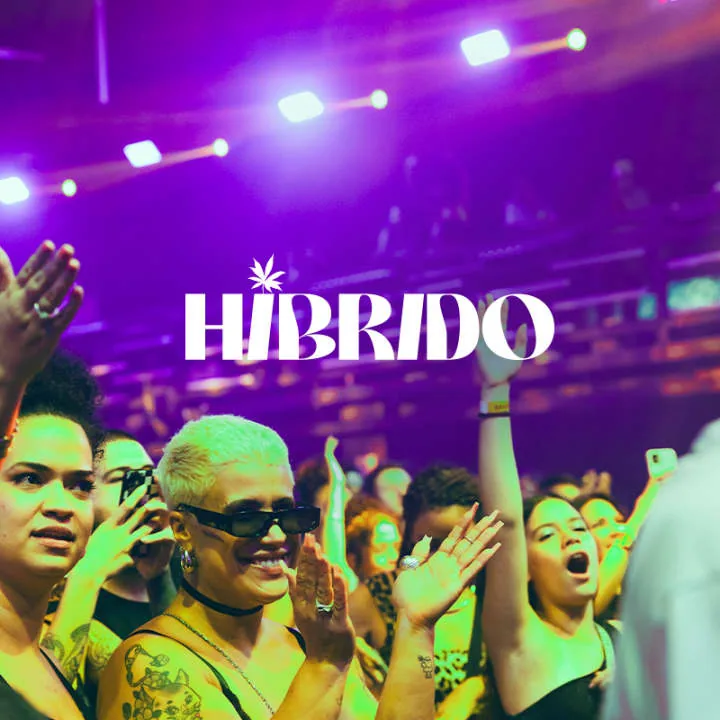 Pessoas participam do Festival Híbrido em São Paulo, celebrando a convergência entre cultura digital e presencial na cidade.